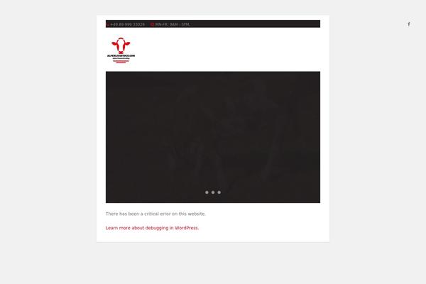 Site using Tp-add-on-automatic-language-detection plugin