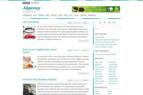 Bisade theme site design template sample