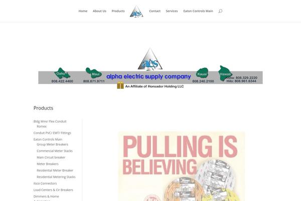 Divi child theme site design template sample