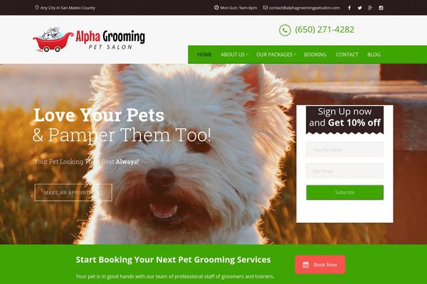 Appointway theme site design template sample