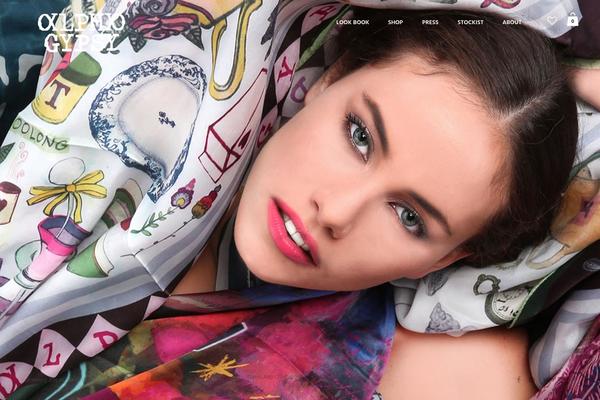 North theme site design template sample