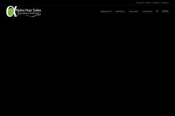 Bridge theme site design template sample