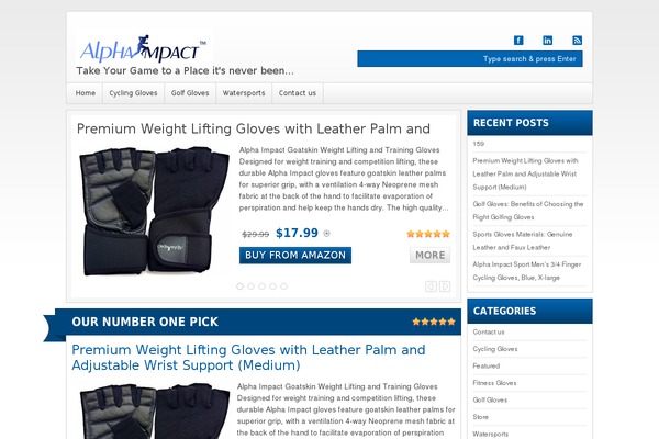 Wp Amazillionaire theme site design template sample