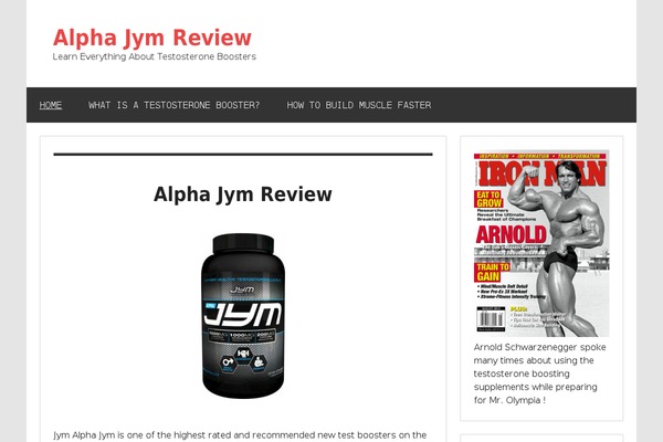 Dynamic News Lite theme site design template sample