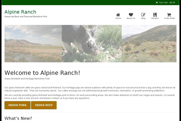 Virtue theme site design template sample