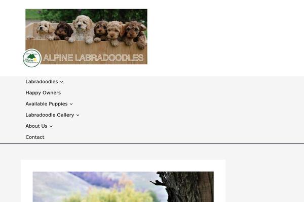 Site using Facebook-page-feed-graph-api plugin