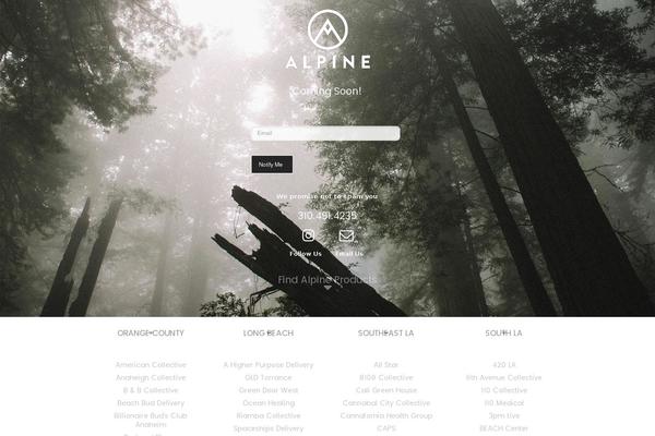 Merchandiser theme site design template sample
