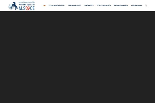 Tower-child theme site design template sample