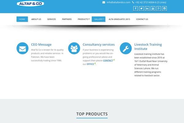 Enigma theme site design template sample