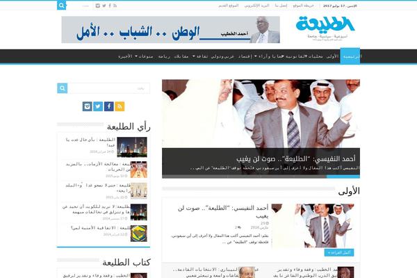 Sahifa theme site design template sample