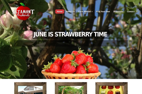 Nimble theme site design template sample