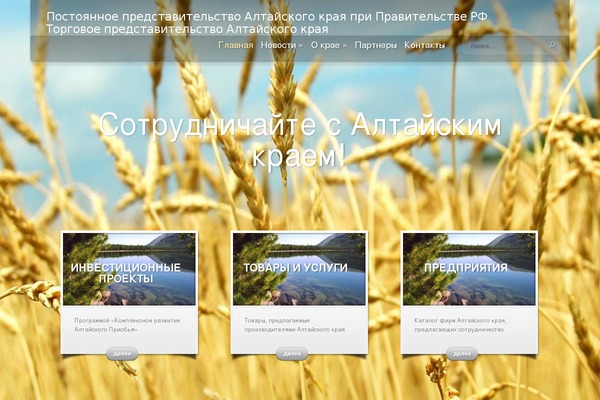 InStyle theme site design template sample