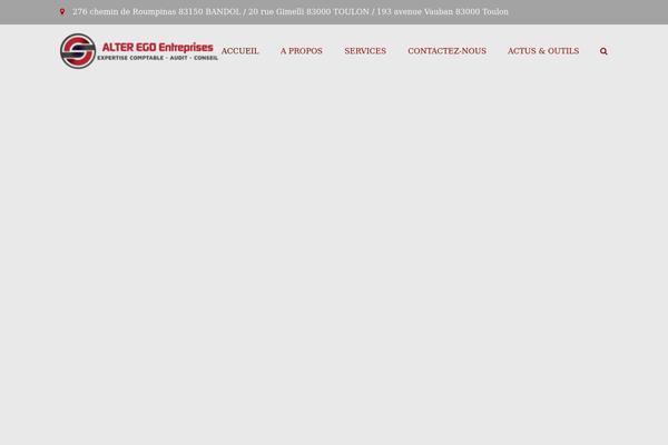 AlterEgoEntreprises theme websites examples