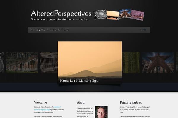 Envisioned theme site design template sample