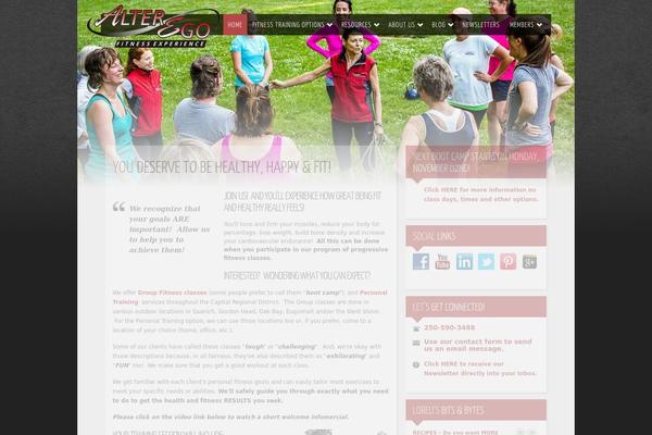 Rt_momentum_wp theme site design template sample