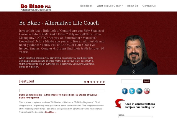 consultant theme site design template sample