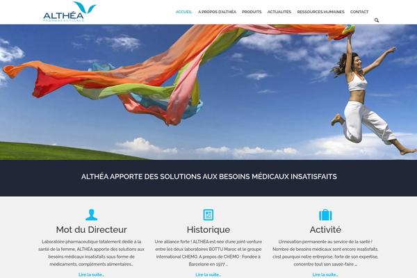 Site using Social Icons Widget by WPZOOM plugin