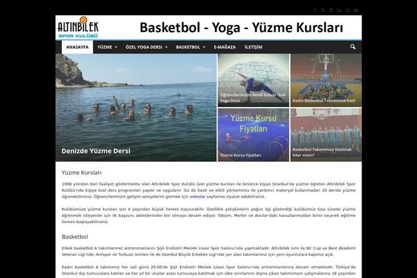 NewsMag theme site design template sample