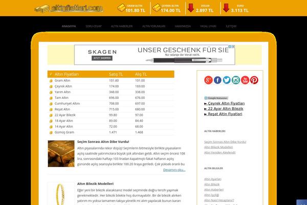 altin theme websites examples