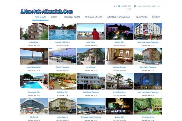 altinoluk-altinoluk.com site used Altinoluk