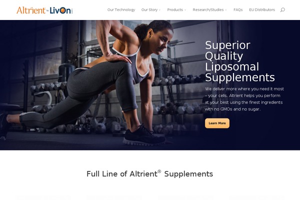 Divi theme site design template sample