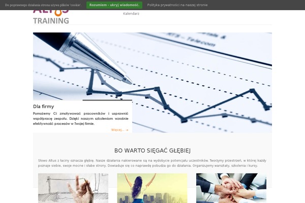 Line theme site design template sample