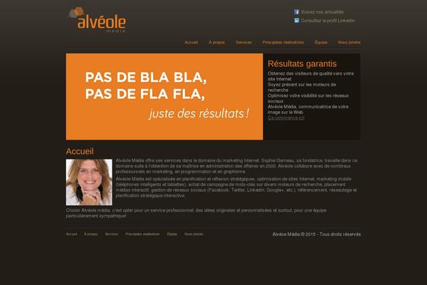 Mediaconsulttheme theme site design template sample