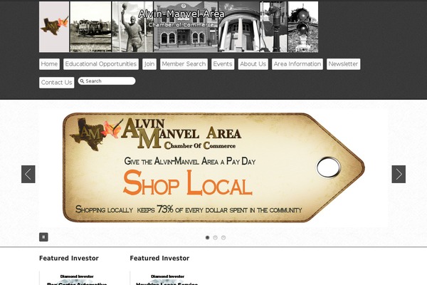 Business lite theme site design template sample