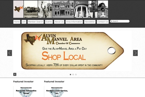 Business lite theme site design template sample