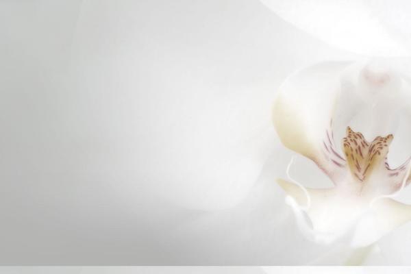 Site using Preloader-awesome plugin