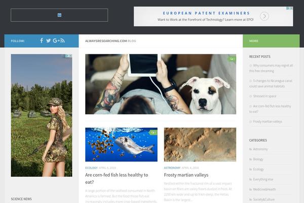 Greyzed theme site design template sample