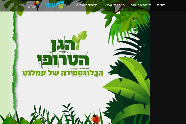 Lensa theme site design template sample