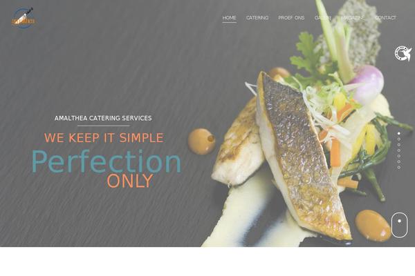 Vigor theme site design template sample