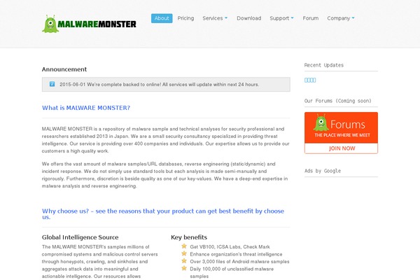 Whitelight theme site design template sample