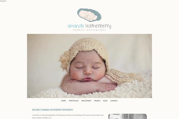 Prophoto4 theme site design template sample