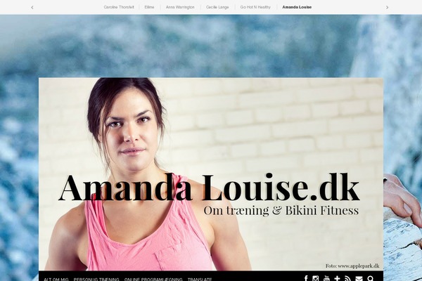 Bloggersdelight theme site design template sample
