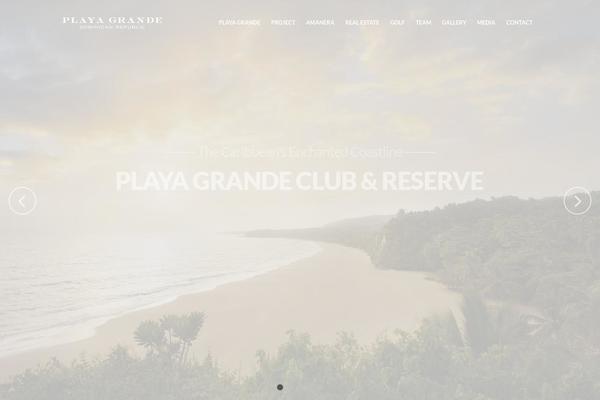 Magnetic theme site design template sample