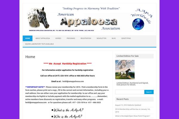 Iconic One theme site design template sample