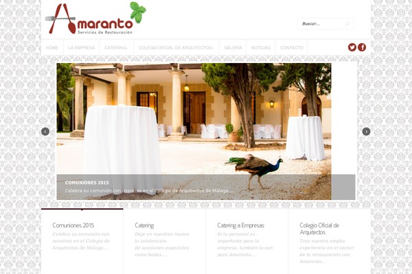 Trim theme site design template sample