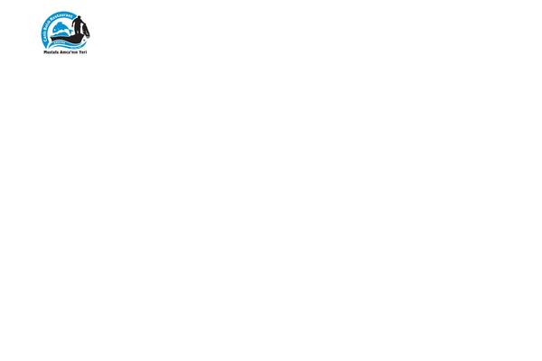 Site using Pixlikes plugin