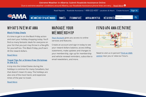 AMA theme site design template sample