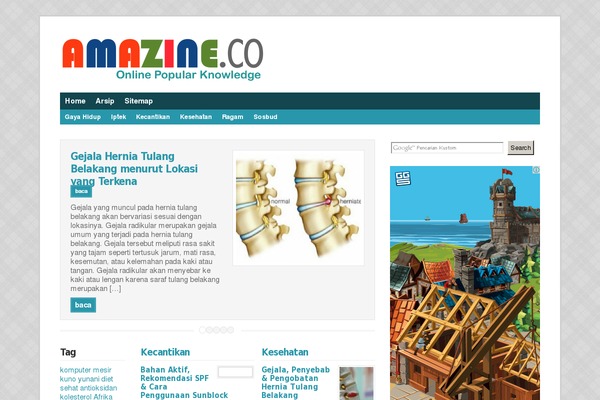 Magazine Pro theme site design template sample