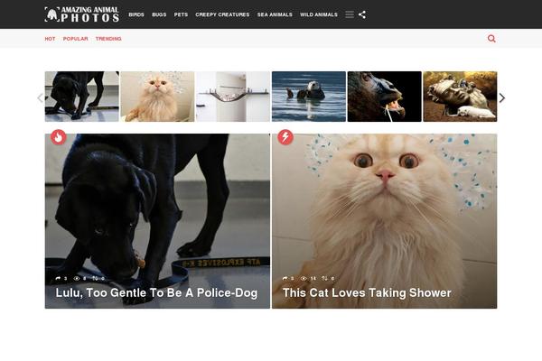 Site using Ad-ace plugin