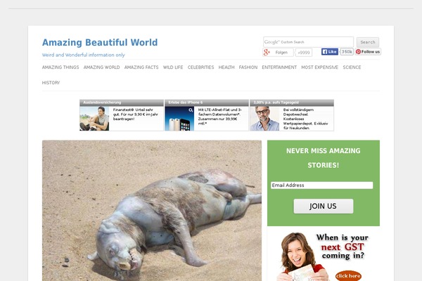 Site using Wp-captcha plugin
