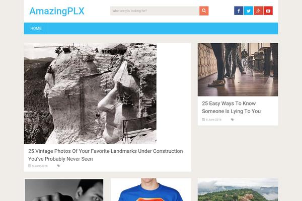 SociallyViral theme site design template sample