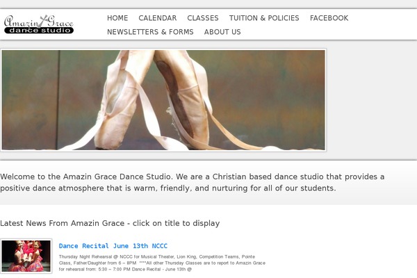 WP Opulus theme site design template sample