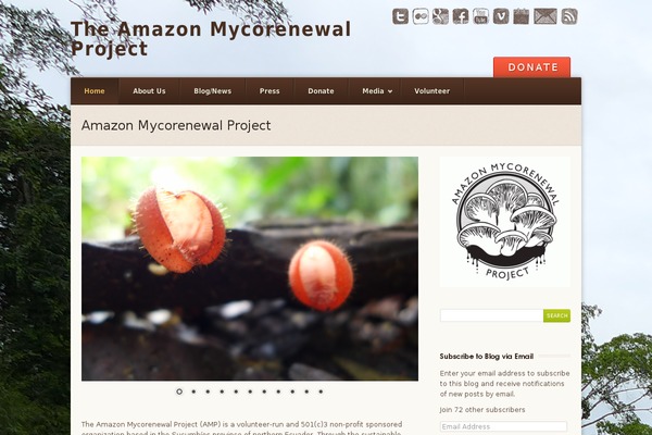 Earth theme site design template sample