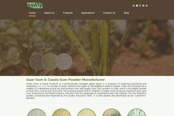 ambagums.com site used Ambagum