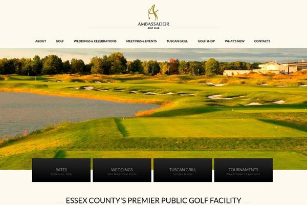 Ambassador theme site design template sample
