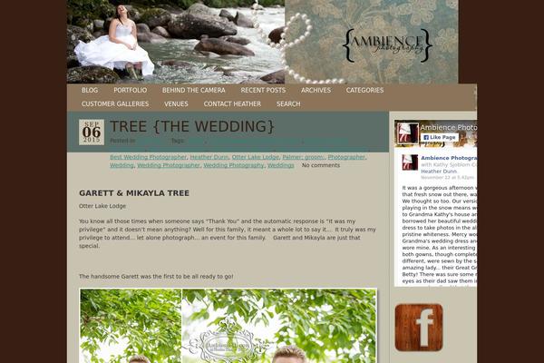 ProPhoto 3 theme site design template sample